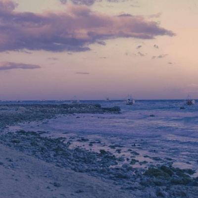 今天买什么特马