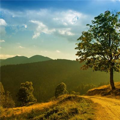 棋牌游戏app下载