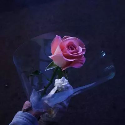 开玩棋牌手机app下载